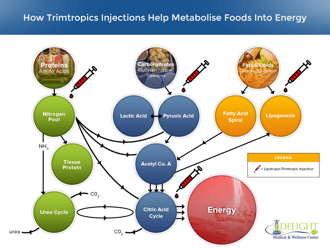 Slimtropics | Natural Weight Loss Injections